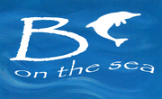 Villa B on the Sea